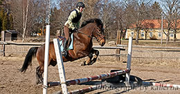 Describe the photo or the page it links to